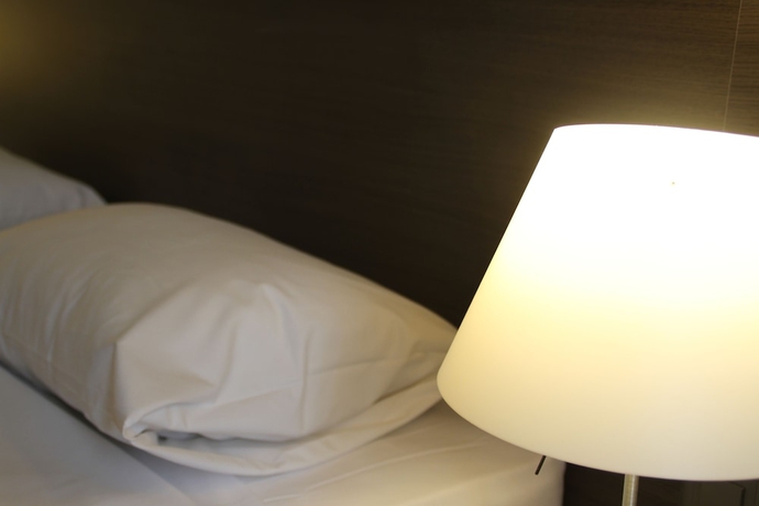 Imagen de la habitación del Hotel Montana, Ginebra. Foto 5