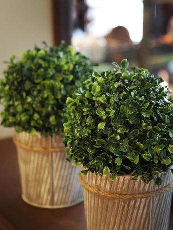 Imagen de los interiores del Hotel Montana Zürich. Foto 3