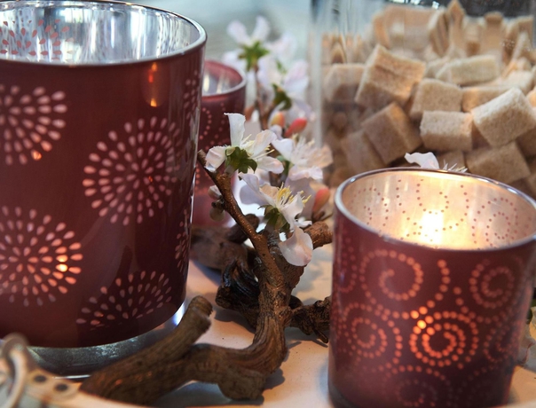 Imagen de los interiores del Hotel Montana Zürich. Foto 5