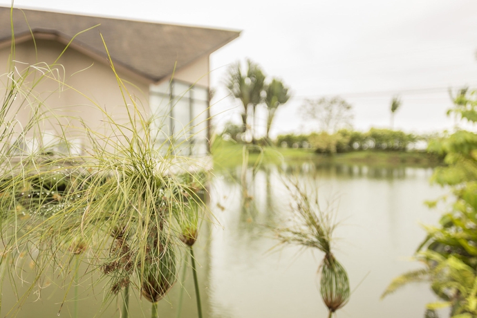 Imagen de los exteriores del Hotel Montaña De Fuego All Inclusive. Foto 13