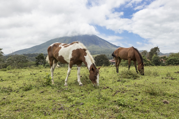 Imagen general del Hotel Monta&ntilde;a De Fuego Mountain Resort and Spa. Foto 1