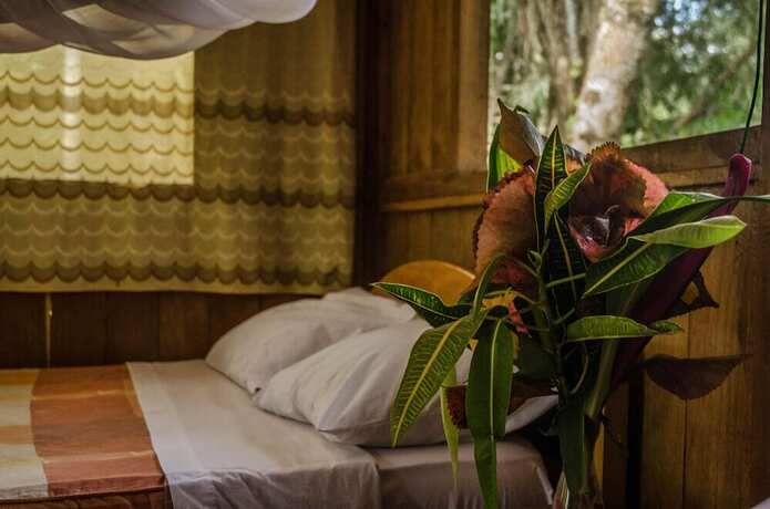Imagen de la habitación del Hotel Monte Amazonico Lodge. Foto 14