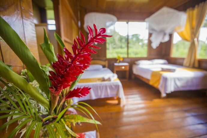 Imagen de la habitación del Hotel Monte Amazonico Lodge. Foto 17