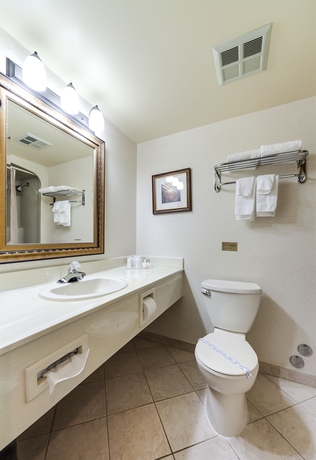 Imagen de la habitación del Hotel Monte Carlo Inn Airport Suites. Foto 3