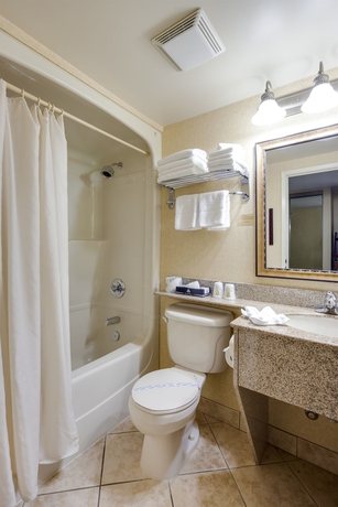 Imagen de la habitación del Hotel Monte Carlo Inn Vaughan Suites. Foto 2