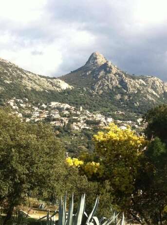 Imagen general del Hotel Monte Ortu. Foto 3