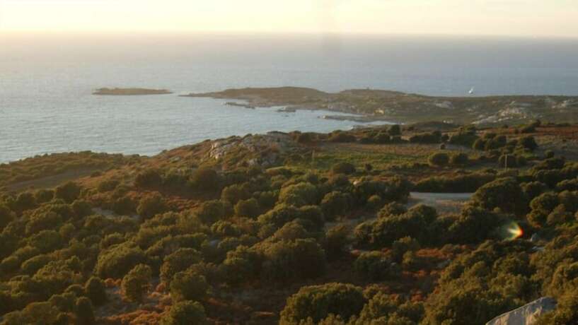 Imagen general del Hotel Monte Ortu. Foto 13