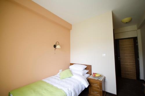 Imagen de la habitación del Hotel Monte Rosa, Cetinje. Foto 6