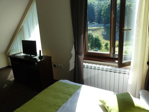 Imagen de la habitación del Hotel Monte Rosa, Cetinje. Foto 9