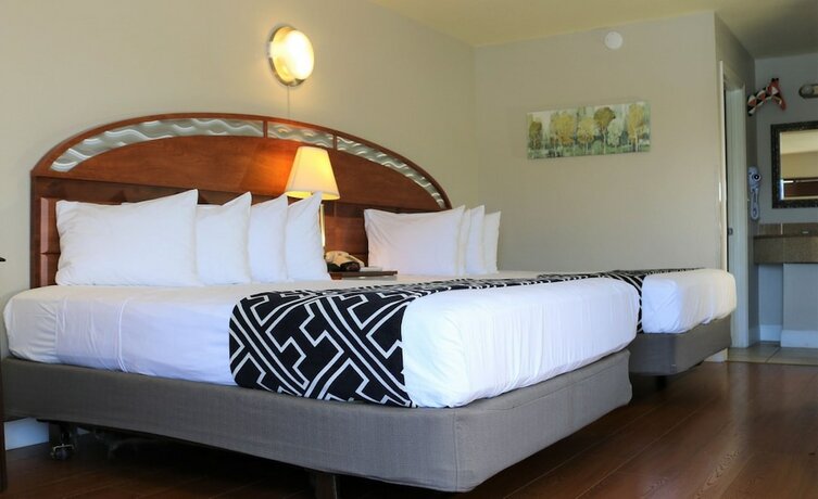 Imagen de la habitación del Hotel MonteCarlo, Kissimmee. Foto 17