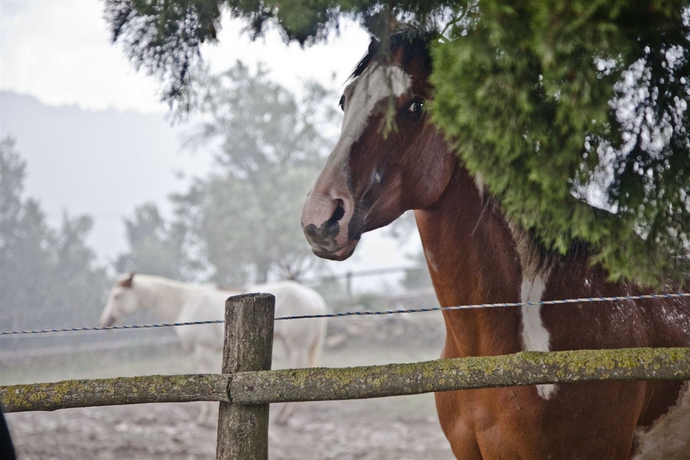 Imagen general del Hotel Montelucci Country Resort and Agriturismo Di Charme. Foto 2