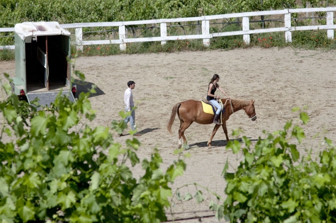 Imagen general del Hotel Montelucci Country Resort and Agriturismo Di Charme. Foto 3