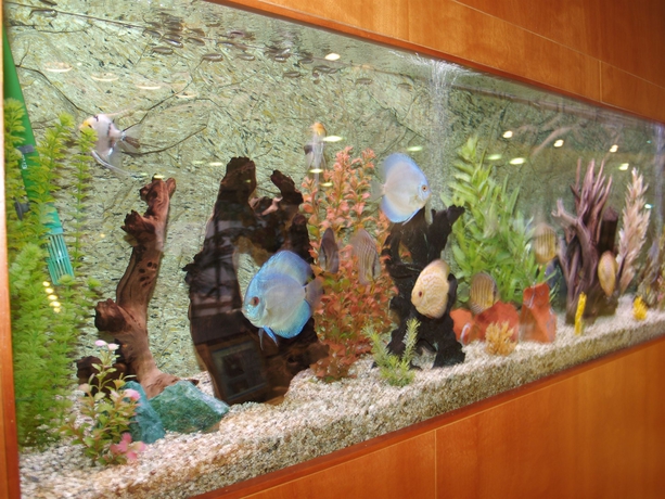 Imagen de los interiores del Hotel Montemar Maritim. Foto 11