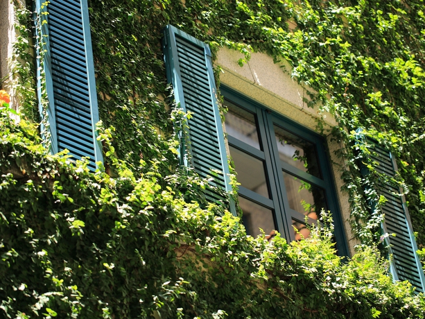 Imagen de los exteriores del Hotel Monterey Kobe. Foto 6