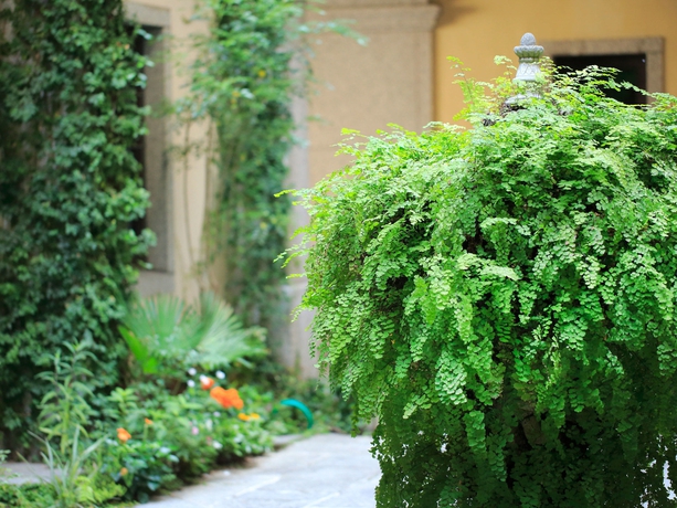 Imagen de los exteriores del Hotel Monterey Kobe. Foto 9