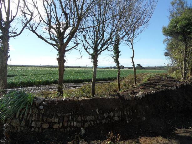 Imagen de los exteriores del Hotel Monterey Pines. Foto 14