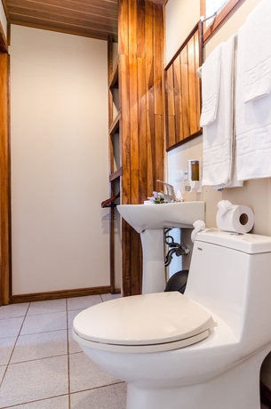 Imagen de la habitación del Hotel Monteverde Country Lodge. Foto 9