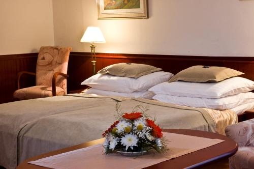 Imagen de la habitación del Hotel Monti Spa. Foto 9