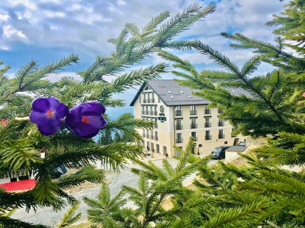 Imagen general del Hotel Montis&Spa. Foto 24