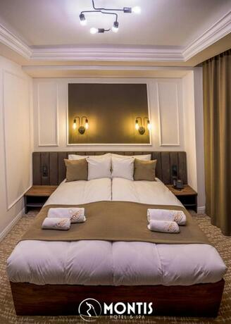 Imagen general del Hotel Montis&Spa. Foto 25