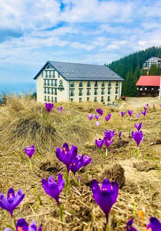 Imagen general del Hotel Montis&Spa. Foto 36