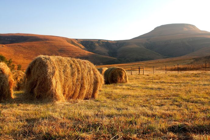 Imagen de los exteriores del Hotel Montusi Mountain Lodge. Foto 12