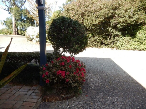 Imagen de los interiores del Hotel Montville Boutique Bnb. Foto 27