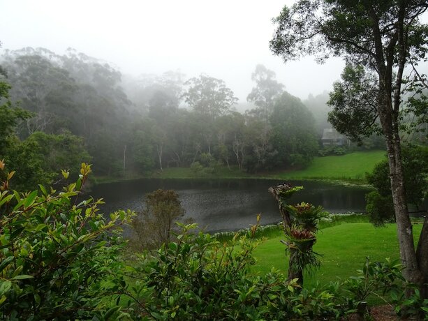 Imagen general del Hotel Montville Country Cabins. Foto 10