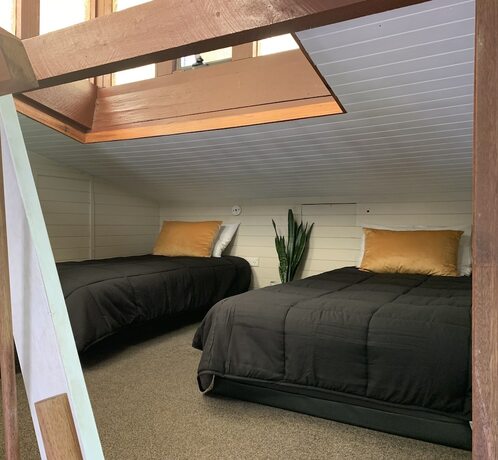 Imagen de la habitación del Hotel Montville Holiday Apartments. Foto 20