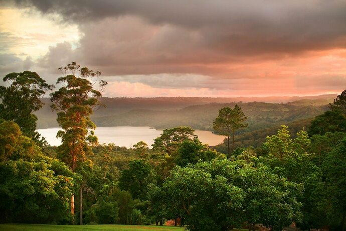 Imagen general del Hotel Montville Misty View Cottages. Foto 9