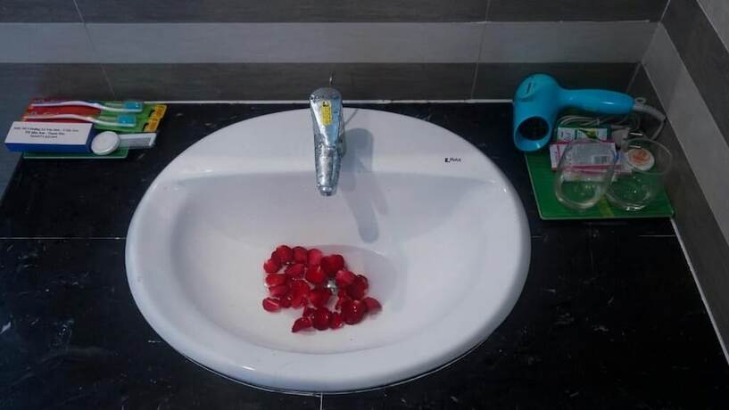 Imagen general del Hotel Monza Villa. Foto 13