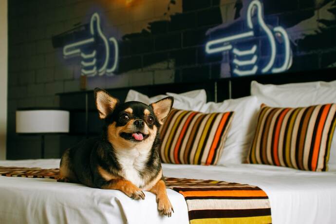 Imagen general del Hotel Mood Lifestyle. Foto 12
