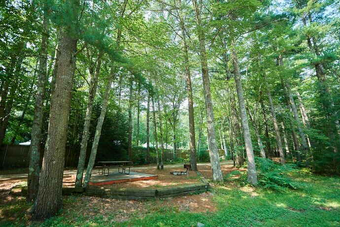 Imagen general del Hotel Moody Beach RV Campground. Foto 16