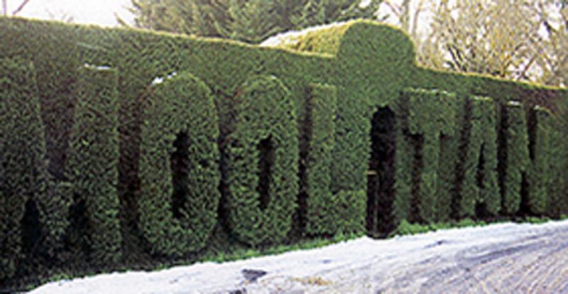 Imagen general del Hotel Mooltan House. Foto 5