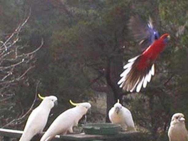 Imagen de la habitación del Hotel Mooltan House. Foto 9