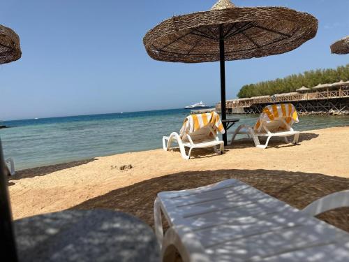 Imagen general del Hotel Moon Beach. Foto 10