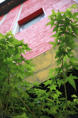 Imagen de los interiores del Hotel Moon-inn Boutique Motel. Foto 19