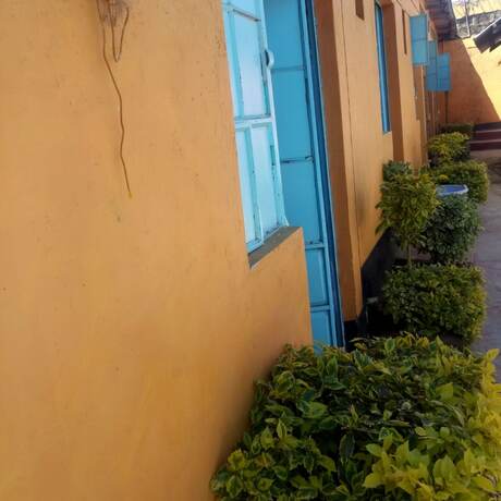 Imagen general del Hotel Moonlight Bar and Lodging. Foto 5