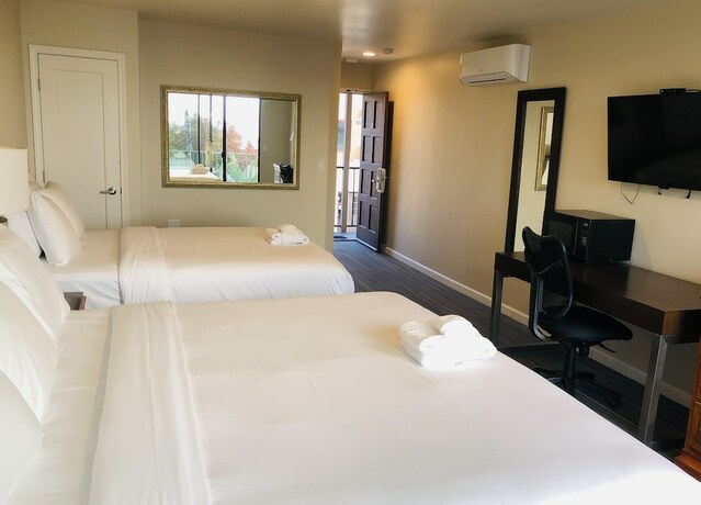 Imagen de la habitación del Hotel Moonlight Beach Motel. Foto 16