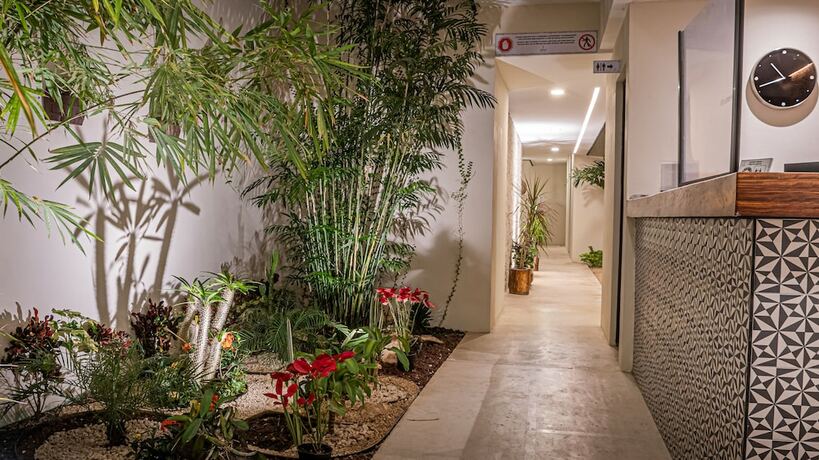 Imagen general del Hotel Moonshine Tulum. Foto 11