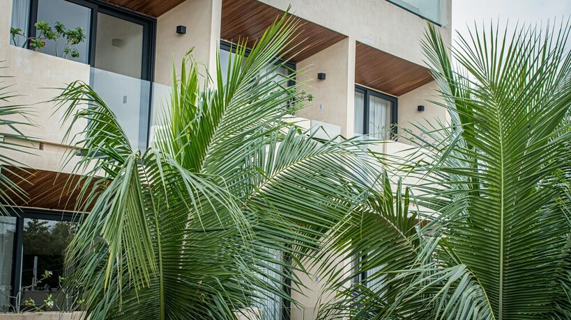 Imagen general del Hotel Moonshine Tulum. Foto 12