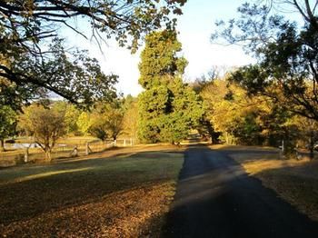 Imagen de la habitación del Hotel Moore Park Inn. Foto 7