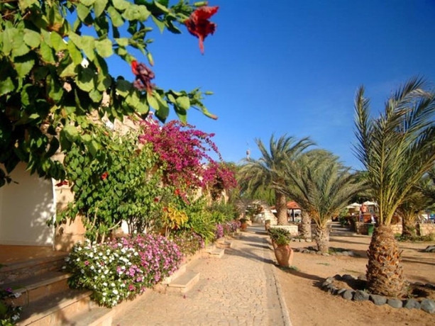 Imagen general del Hotel Morabeza. Foto 12