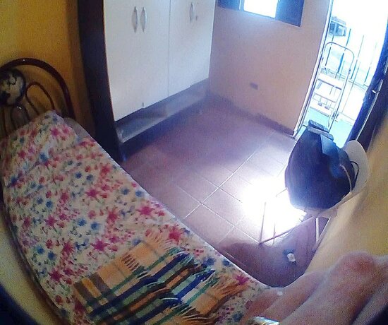 Imagen de la habitación del Hotel Morada BemTeVi - Hostel. Foto 16