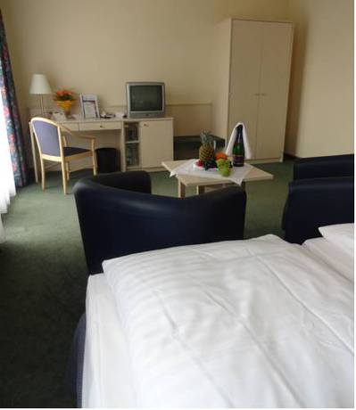 Imagen de la habitación del Hotel Morada Gothaer Hof. Foto 8