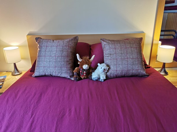 Imagen de la habitación del Hotel Morag\'s Lodge - Hostel. Foto 14