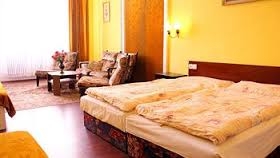 Imagen general del Hotel Morava, ZNOJMO. Foto 7