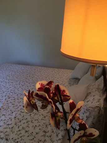 Imagen de la habitación del Hotel Morfeas, Dio-Olympos. Foto 4