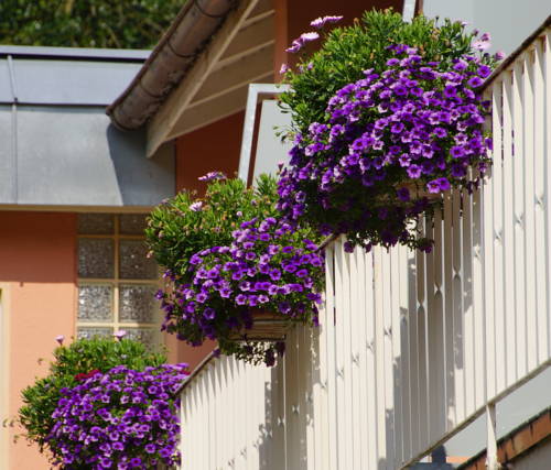 Imagen de la habitación del Hotel Morgensonne, Badenweiler. Foto 10