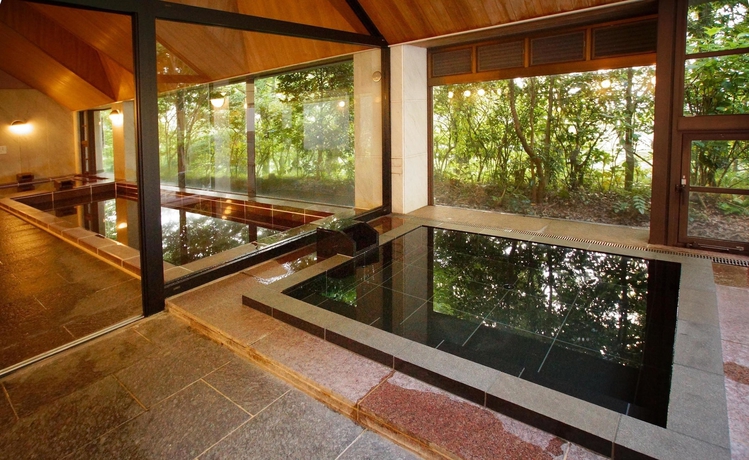 Imagen general del Hotel Mori No Izumi. Foto 3